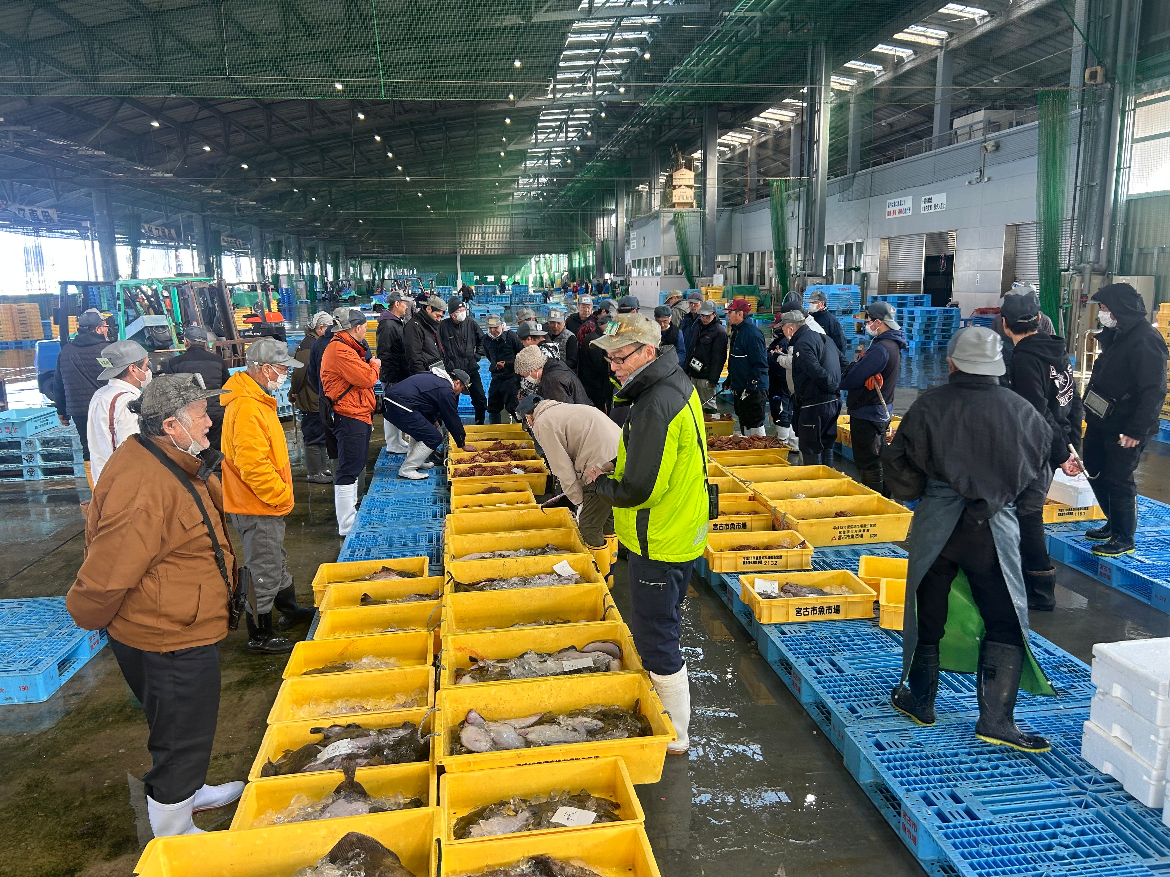 丸友しまか 骨まで愛でる煮魚三昧セット【35121】冷凍