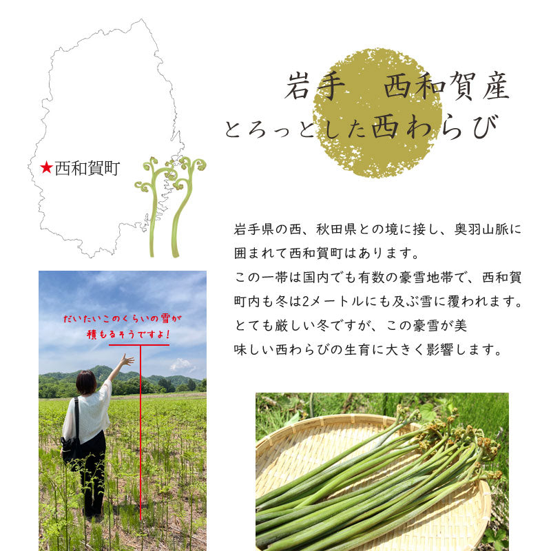 【予約受付/季節限定】西和賀産業公社 とろっとした西わらび(水煮)【30163/32328】冷蔵