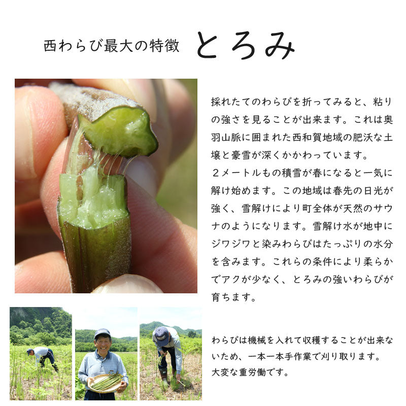 ≪今季販売終了・季節限定≫西和賀産業公社 とろっとした西わらび(水煮)【30163/32328】冷蔵