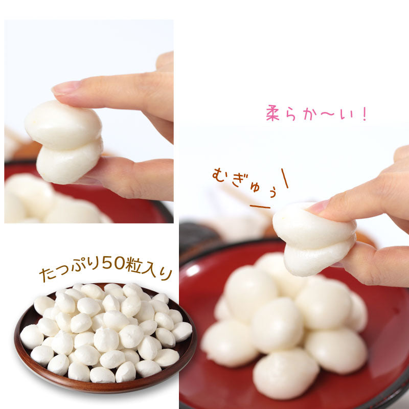 大林製菓 ふわmochi 10g×50個入【34096-1/2/3/4】冷凍