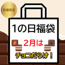 岩手県産 【福袋】2月は≪チョコだらけ！≫