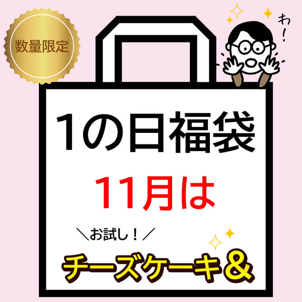 岩手県産 【福袋】11月は≪お試し！チーズケーキ＆…≫冷凍
