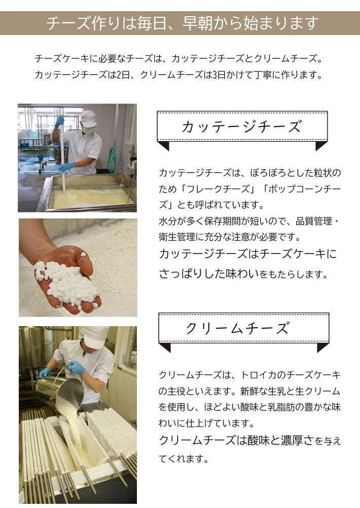 トロイカ ●お試しトロイカベイクドチーズケーキ7号カット×2ピース【0033797】冷凍