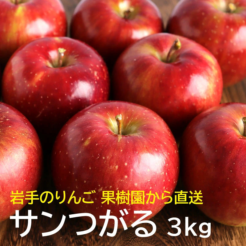 早生りんご　サンつがる（秀）【33617】