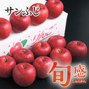 旬感りんご　サンふじ【26395/26396/26397】