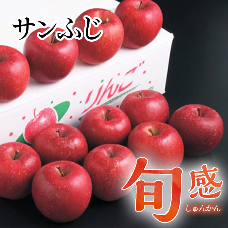 旬感りんご　サンふじ【26395/26396/26397】