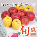 旬感りんご　はるか・こうこう・サンふじ【26390】