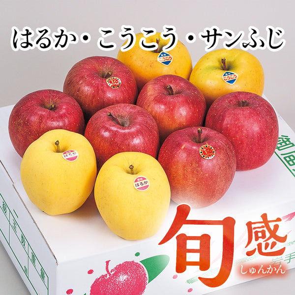 旬感りんご　はるか・こうこう・サンふじ【26390】