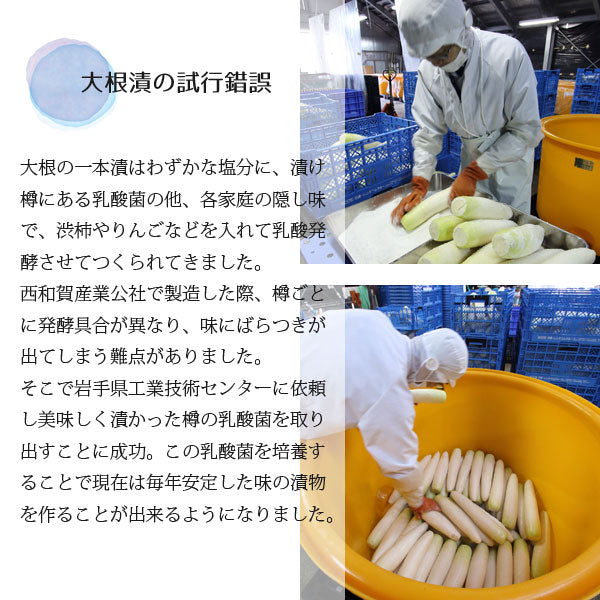 西和賀産業公社 大根の一本漬け(カット)×4本セット【31366/31367】冷蔵
