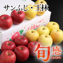 旬感りんご　サンふじ・王林【26398/26399/26400】