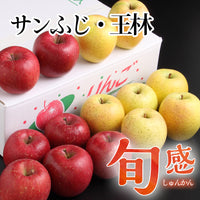 ※今季の受付終了となりました※旬感りんご　サンふじ・王林【26398/26399/26400】