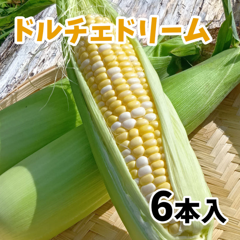 ≪”奥州ペルル”ご予約受付中！≫上小田代　生とうもろこし 【30566-30567/32860-32861/32862-32863】冷蔵