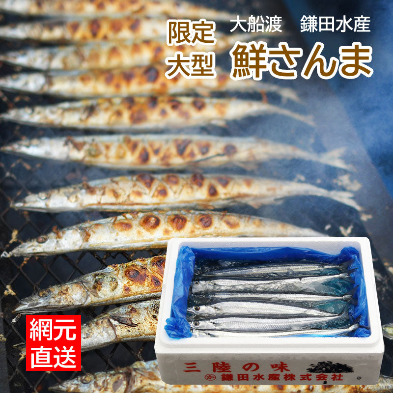 ≪ご予約受付中！≫鎌田水産  限定大型鮮さんま【28382/28383/28384】冷蔵