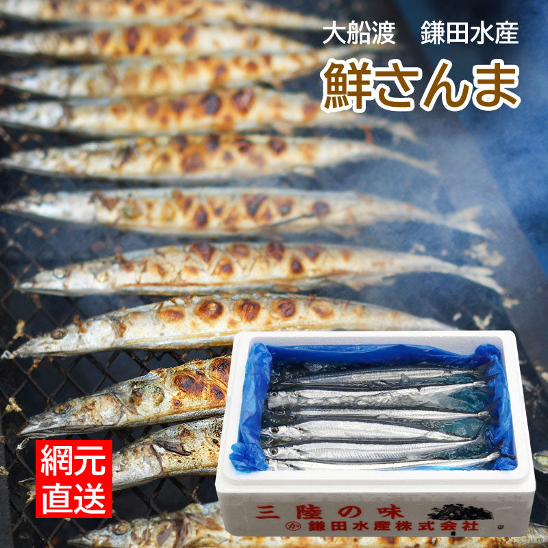 ≪ご予約受付中！≫鎌田水産_鮮さんま_冷蔵【28397/28380/28381】