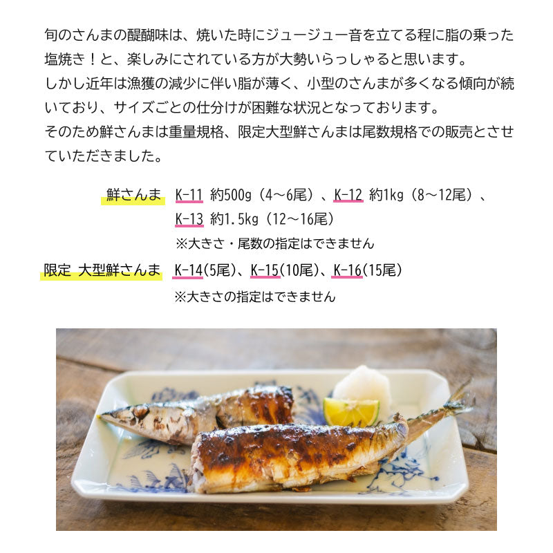 ≪ご予約受付中！≫鎌田水産_鮮さんま_冷蔵【28397/28380/28381】
