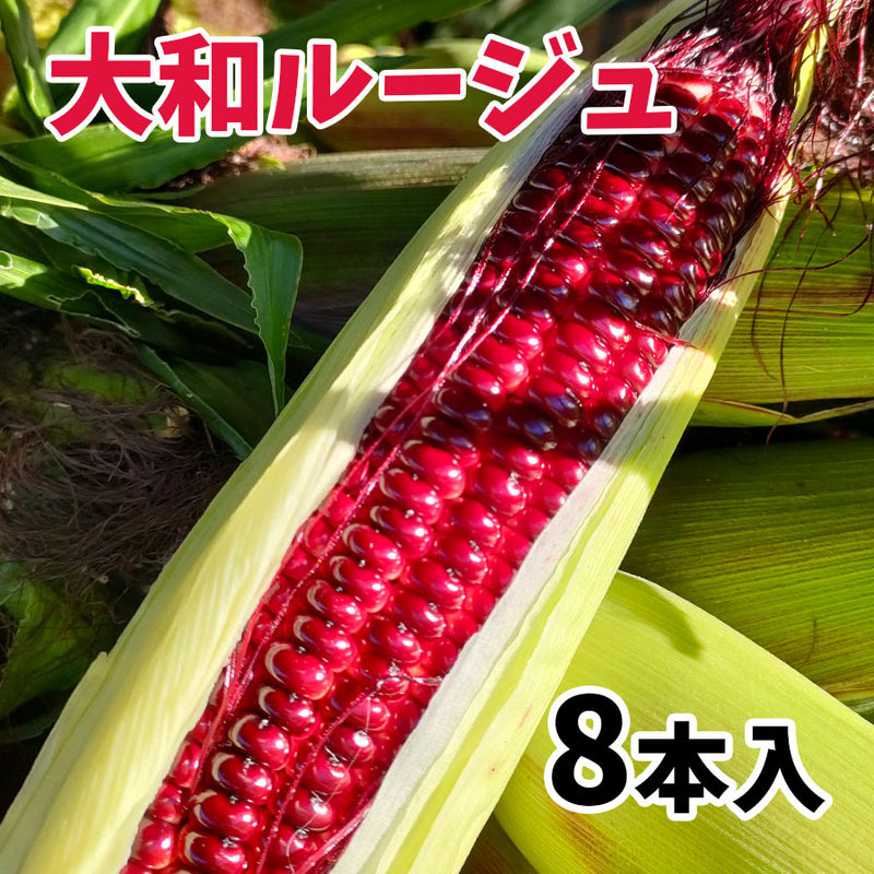 ≪”奥州ペルル”ご予約受付中！≫上小田代　生とうもろこし 【30566-30567/32860-32861/32862-32863】冷蔵