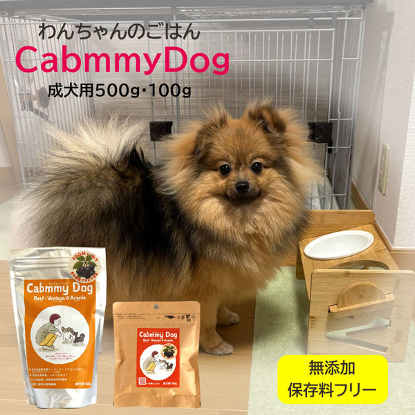 五六堂印刷 CabmmyDog【challenge8-10】
