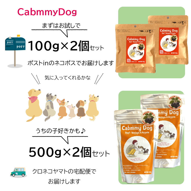 五六堂印刷 CabmmyDog【challenge8-10】