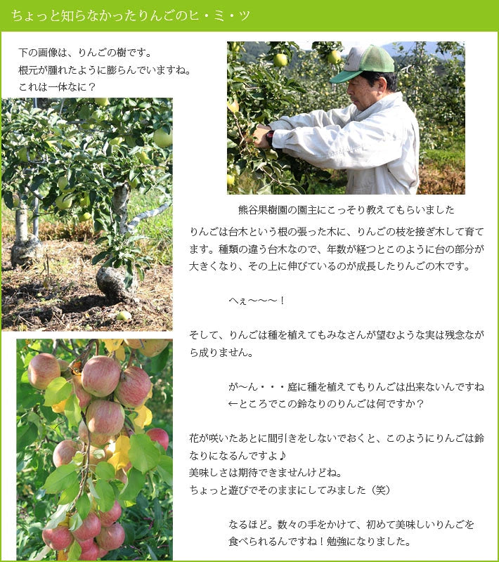 いわてのりんご　熊谷果樹園　ジョナゴールド3Kg【28640】