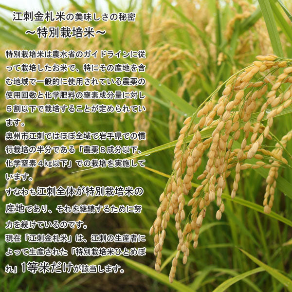 JA江刺 江刺刺金札米 特別栽培米ひとめぼれ（冬眠密着包装） 5kg(2025年度産)【0028703】