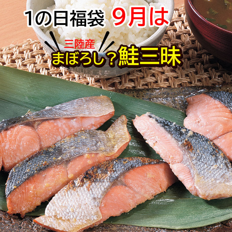 岩手県産 【福袋】9月は≪まぼろし？鮭三昧≫冷凍