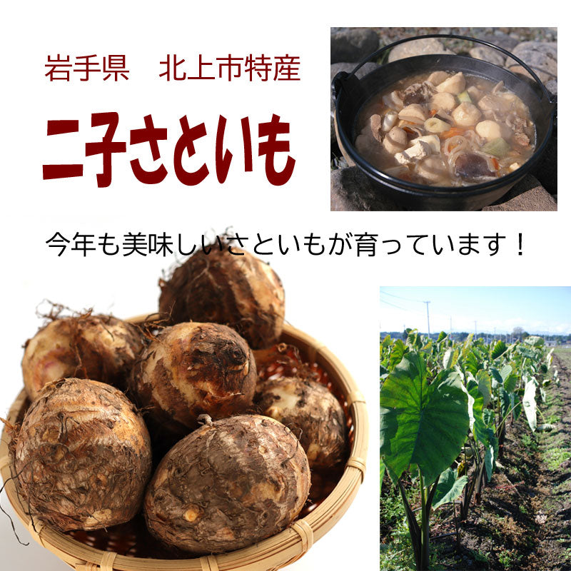 【期間限定】岩手県産● 二子さといも【34685】