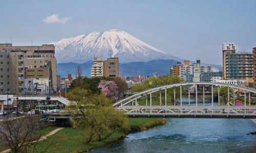 買うなら岩手のもの運動