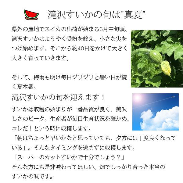 ≪数量限定≫ 滝沢すいか 7〜8kgサイズ(8月上旬～中旬のお届け) 【0028155】