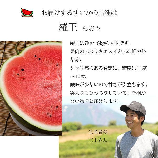 ≪数量限定≫ 滝沢すいか 7〜8kgサイズ(8月上旬～中旬のお届け) 【0028155】