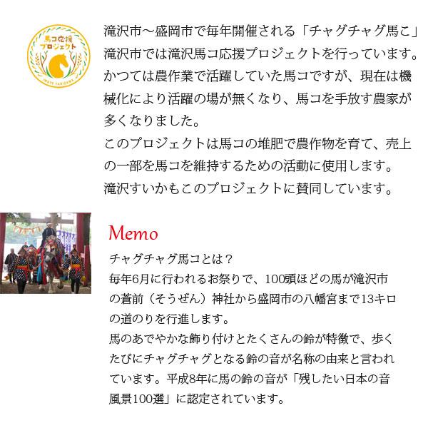 ≪数量限定≫ 滝沢すいか 7〜8kgサイズ(8月上旬～中旬のお届け) 【0028155】