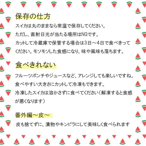 ≪数量限定≫ 滝沢すいか 7〜8kgサイズ(8月上旬～中旬のお届け) 【0028155】