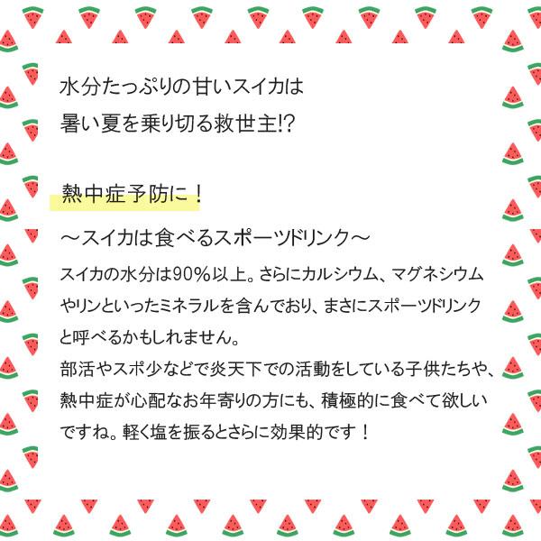 ≪数量限定≫ 滝沢すいか 7〜8kgサイズ(8月上旬～中旬のお届け) 【0028155】