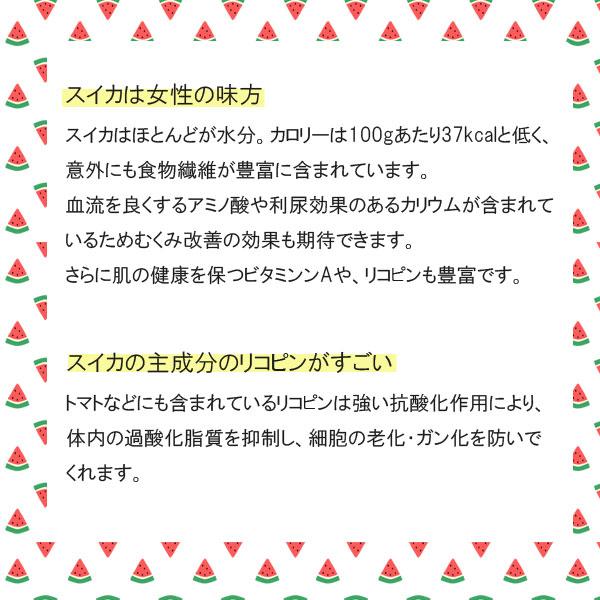 ≪数量限定≫ 滝沢すいか 7〜8kgサイズ(8月上旬～中旬のお届け) 【0028155】