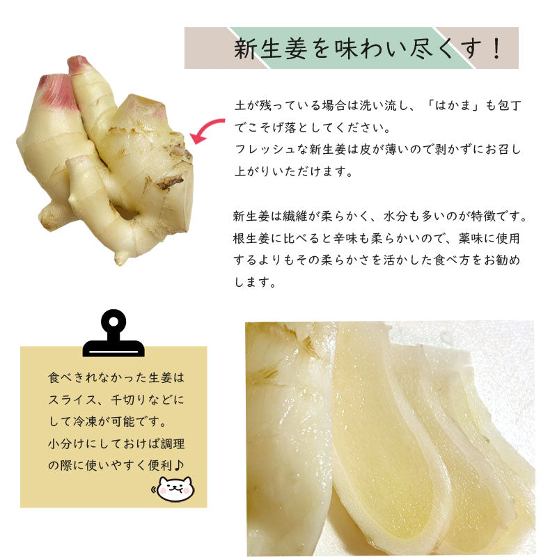 数量限定 岩手発 三陸ジンジャー 採れたて新生姜 400g×２パックセット 800g 28546
