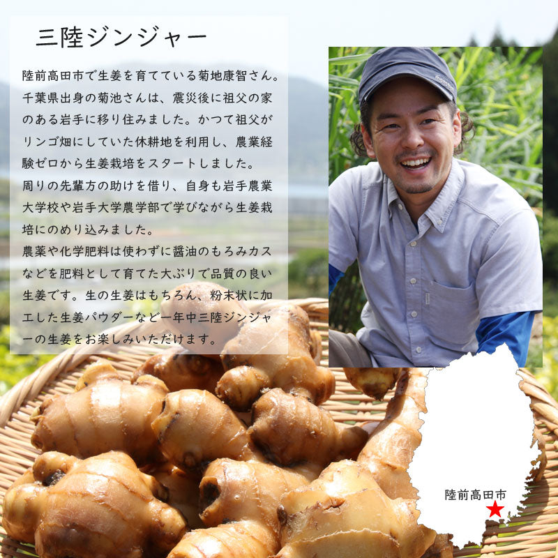数量限定 岩手発 三陸ジンジャー 採れたて新生姜 400g×２パックセット 800g 28546