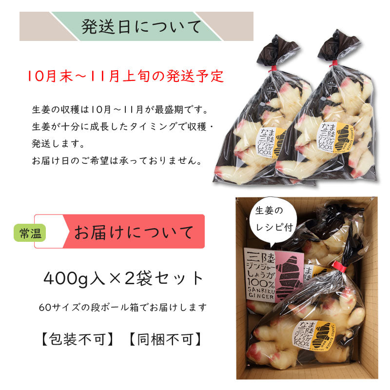 数量限定 岩手発 三陸ジンジャー 採れたて新生姜 400g×２パックセット 800g 28546