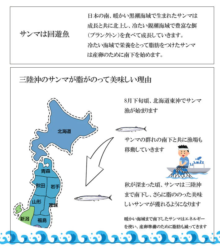 ≪ご予約受付中！≫鎌田水産　鮮さんま・塩蔵わかめセットK-18【28386】冷蔵