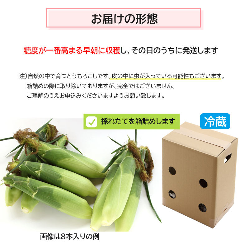 ≪”奥州ペルル”ご予約受付中！≫上小田代　生とうもろこし 【30566-30567/32860-32861/32862-32863】冷蔵