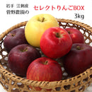 江刺産 菅野農園 セレクトりんごボックス（MIX）3kg入り  【0023467】