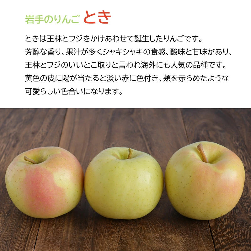 いわてのりんご　熊谷果樹園　トキ3Kg【33839】