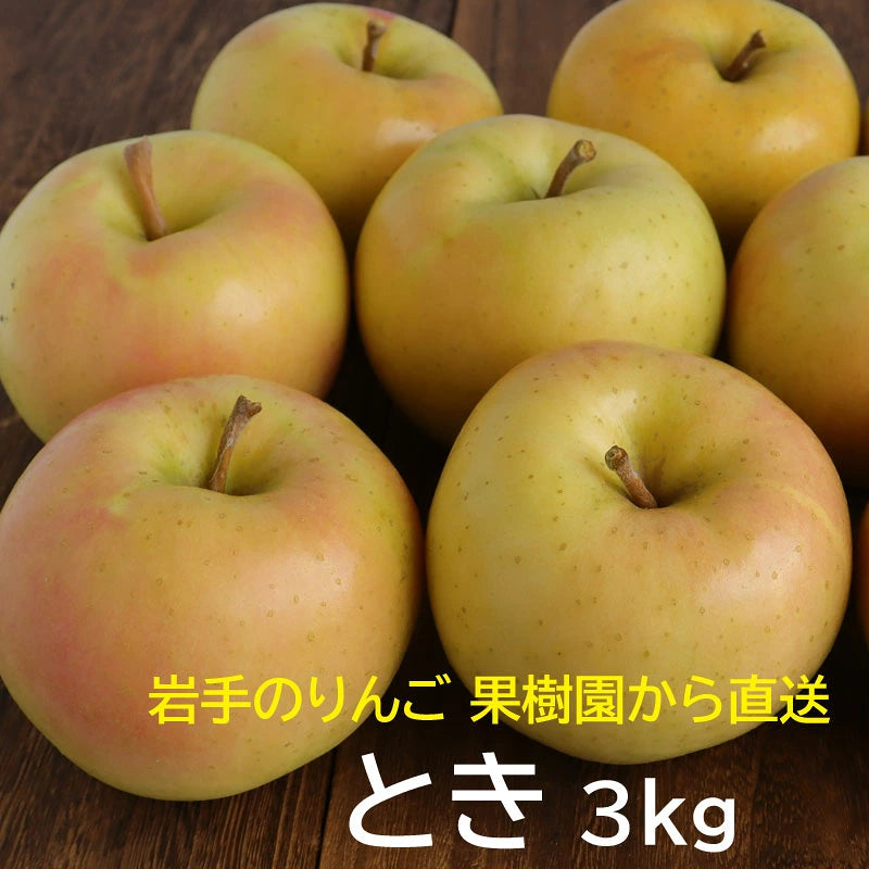 いわてのりんご　熊谷果樹園　トキ3Kg【33839】