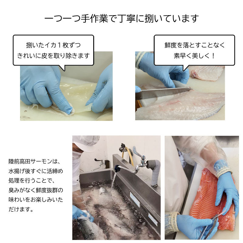 【銀のさら×三陸岩手の地魚】ご自宅にぎり寿司  1人前 10貫 マグロ 真イカ 陸前高田サーモン ソイ ホタテ アイナメ ヒラメ昆布〆 生エビ イクラ ネギトロ 【0031264】