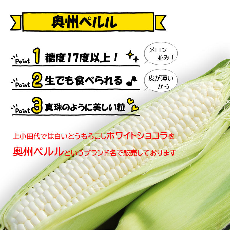 ≪”奥州ペルル”ご予約受付中！≫上小田代　生とうもろこし 【30566-30567/32860-32861/32862-32863】冷蔵