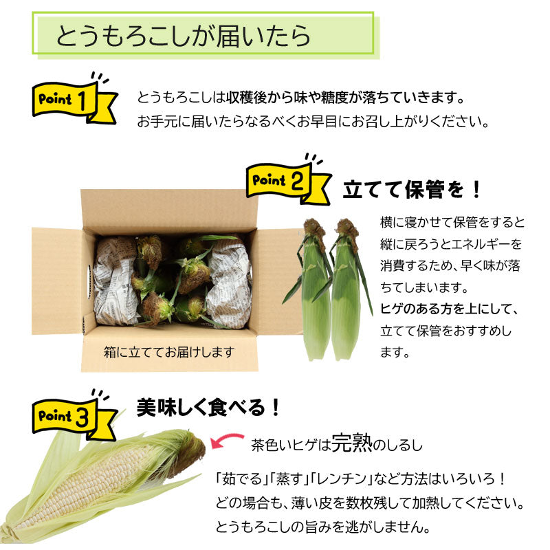 ≪”奥州ペルル”ご予約受付中！≫上小田代　生とうもろこし 【30566-30567/32860-32861/32862-32863】冷蔵