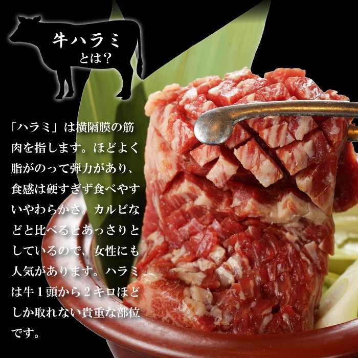 やまなか家 プレミアム極厚ハラミステーキ【熟成醤油だれ】1kg【0024133】冷凍