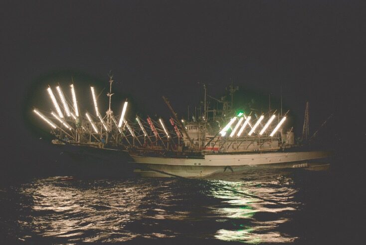 集魚灯をともした夜のさんま船